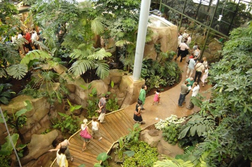 Montpellier Zoological Park , , France